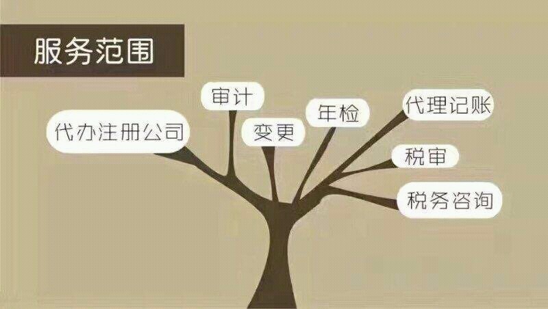 长春代理记账服务项目详解 专业、高效、省心